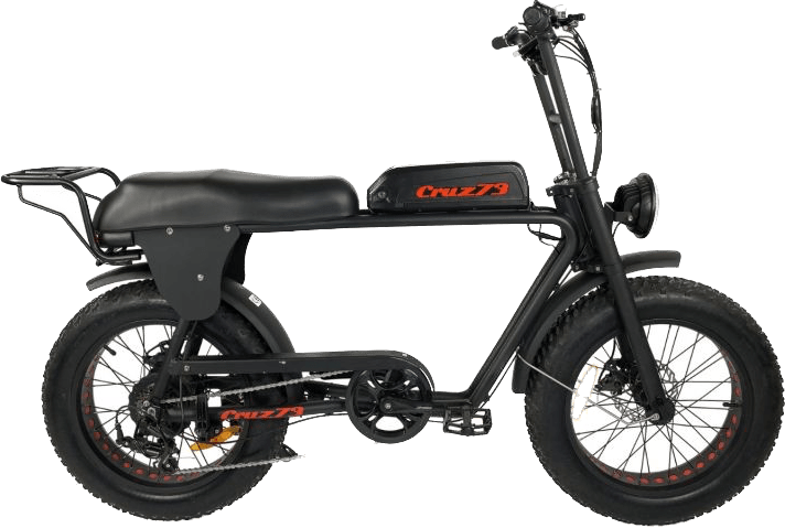 Retro Electric Bike, Best Brands