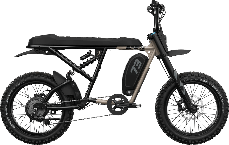 Retro Electric Bike, Best Brands